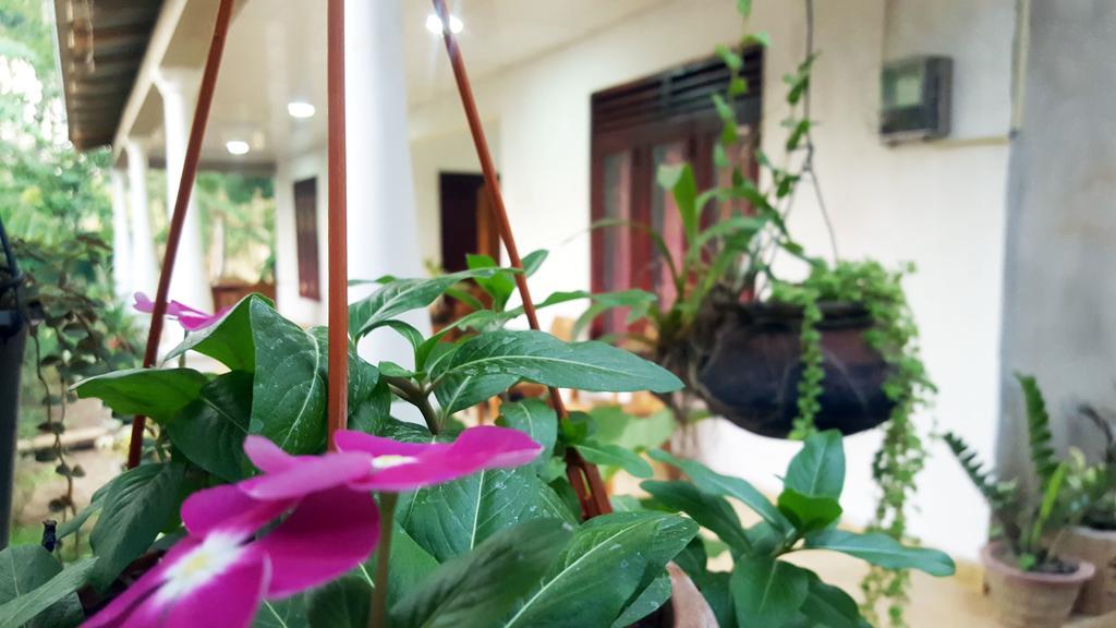 Kassapa Home Stay Sigiriya Buitenkant foto